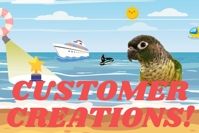 Colorful Customer Creations Tuesday banner featuring ocean scene, cruise ship, surfer, and parrot with bold red text.
