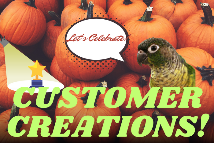 Colorful Customer Creations banner featuring pumpkins and green cheek conure.
