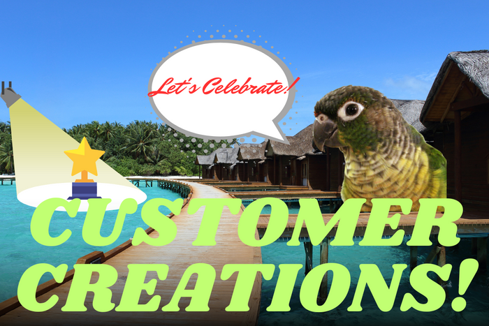 Colorful Customer Creations banner featuring ocean scene, and green cheek conure.