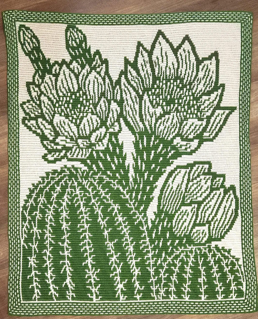 Sonoran Blossom Overlay Mosaic Crochet Blanket Pattern